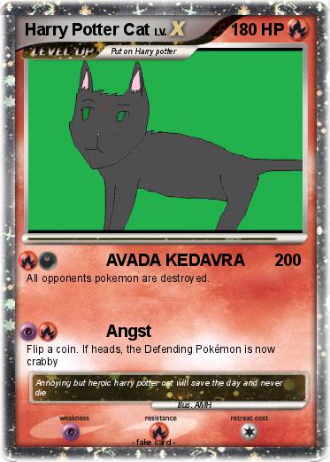 Pokemon Harry Potter Cat