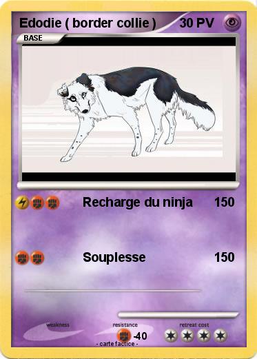 Pokemon Edodie ( border collie )