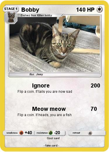 Pokemon Bobby