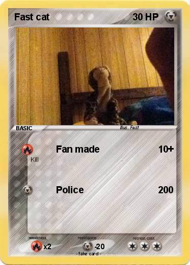 Pokemon Fast cat