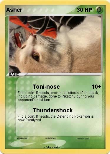 Pokemon Asher