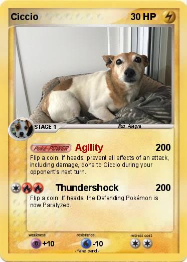 Pokemon Ciccio