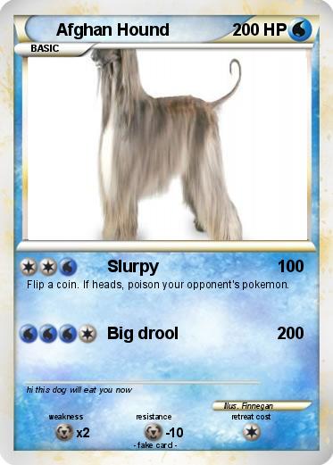 Pokemon Afghan Hound