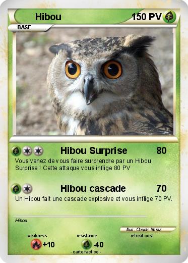 Pokemon Hibou