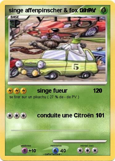 Pokemon singe affenpinscher & fox terrier