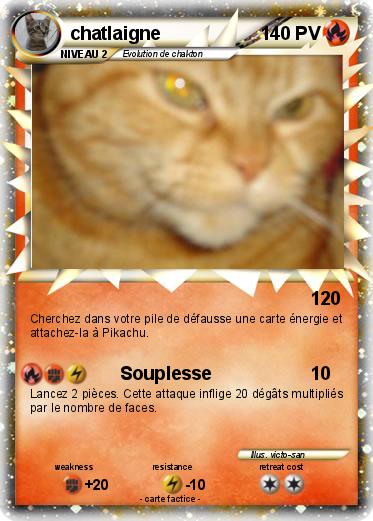 Pokemon chatlaigne