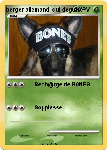 Pokemon berger allemand  qui déguisé