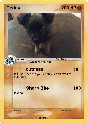 Pokemon Teddy