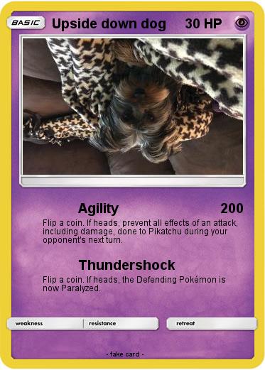 Pokemon Upside down dog