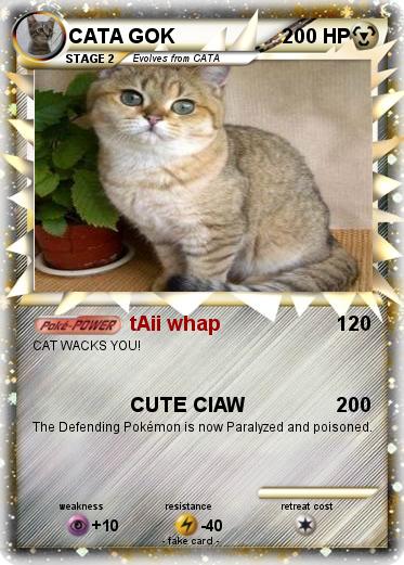 Pokemon CATA GOK