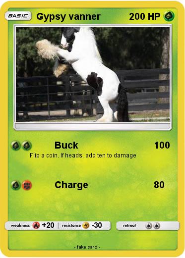 Pokemon Gypsy vanner