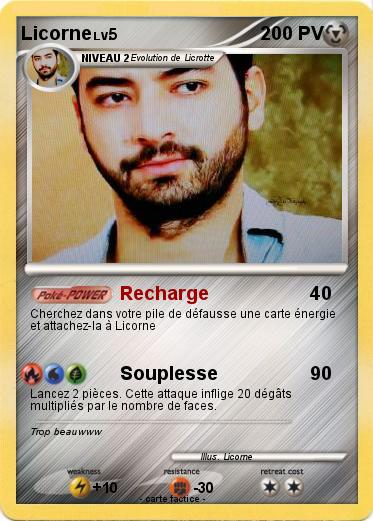 Pokemon Licorne