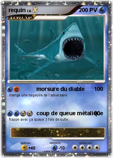 Pokemon requin