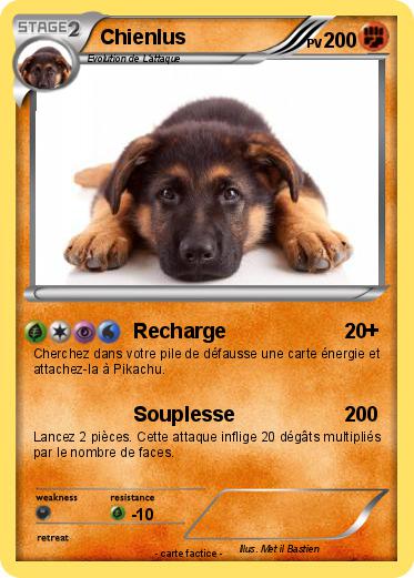 Pokemon Chienlus