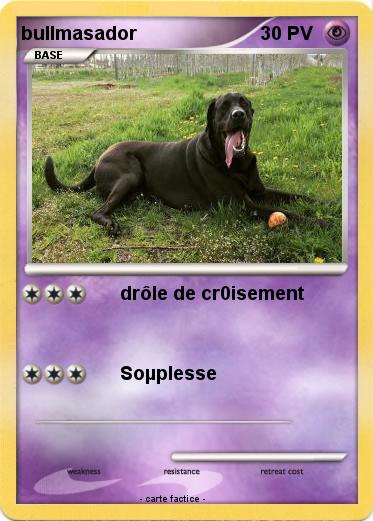 Pokemon bullmasador