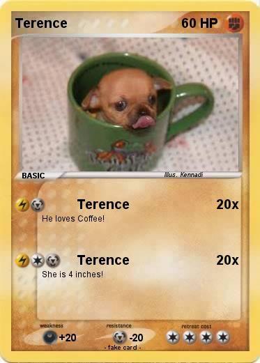 Pokemon Terence