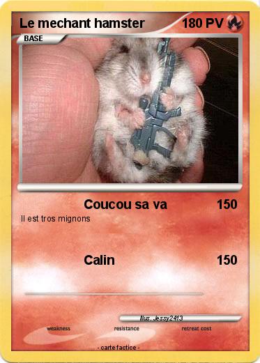 Pokemon Le mechant hamster