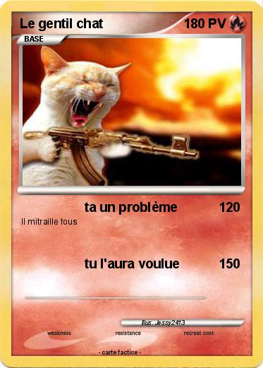 Pokemon Le gentil chat