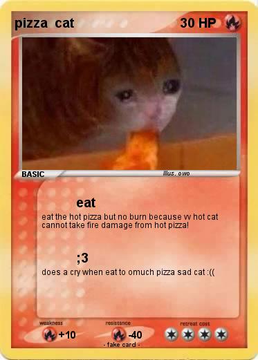 Pokemon pizza  cat