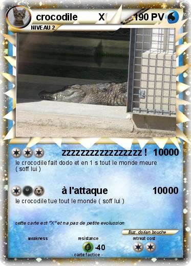 Pokemon crocodile        X