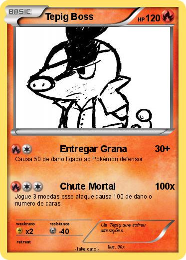 Pokemon Tepig Boss