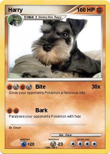 Pokemon Harry