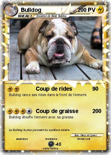 Pokemon Bulldog