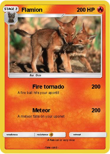 Pokemon Flamion