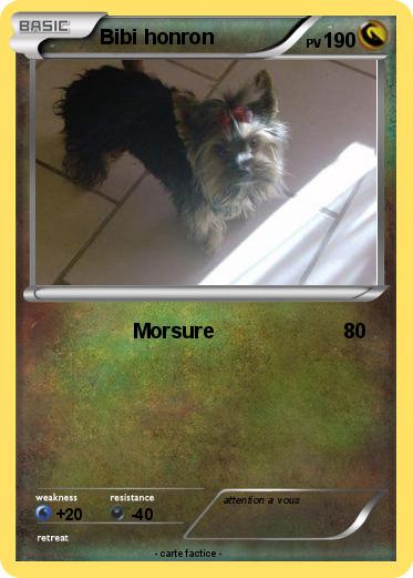 Pokemon Bibi honron