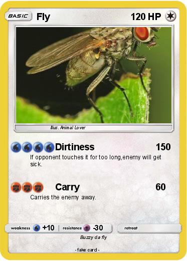 Pokemon Fly