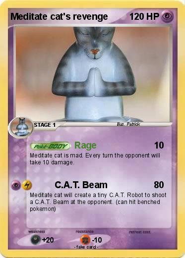 Pokemon Meditate cat's revenge