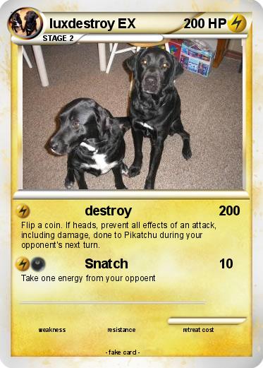Pokemon luxdestroy EX