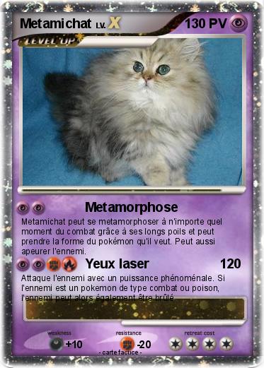 Pokemon Metamichat