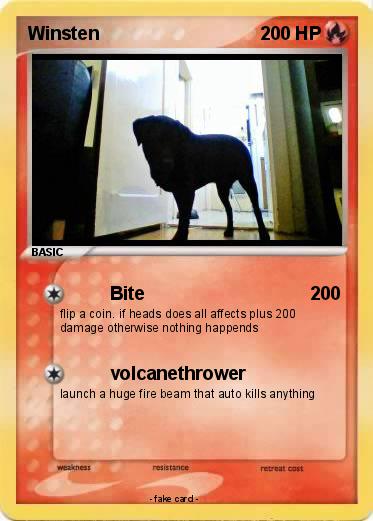 Pokemon Winsten