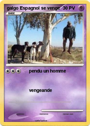 Pokemon galgo Espagnol se venge