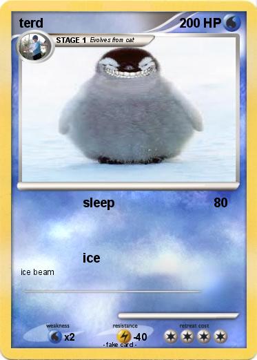 Pokemon terd