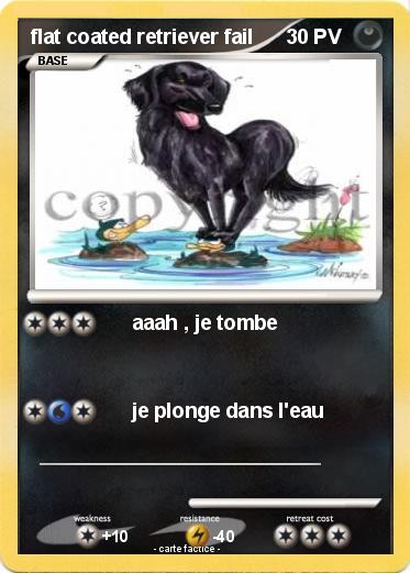 Pokemon flat coated retriever fail