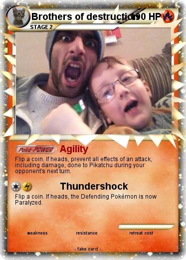 Pokemon Brothers of destruction
