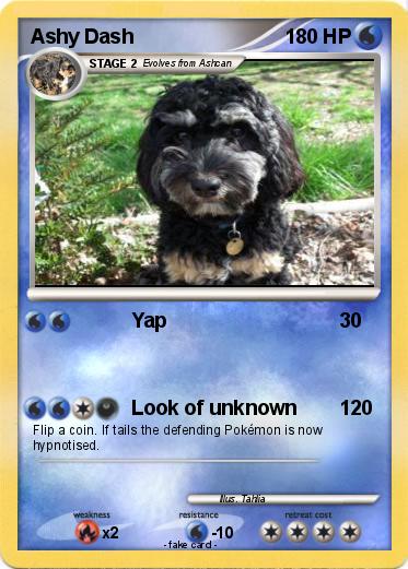 Pokemon Ashy Dash