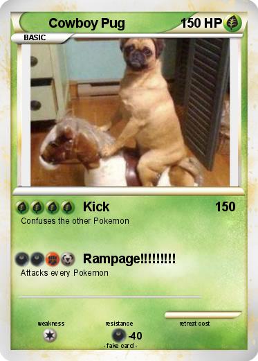 Pokemon Cowboy Pug