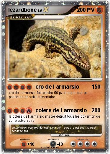 Pokemon lezardboxe