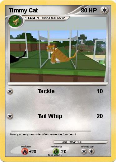 Pokemon Timmy Cat