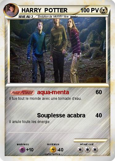 Pokemon HARRY  POTTER