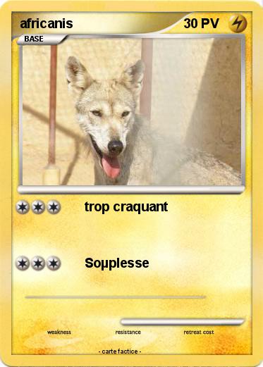 Pokemon africanis