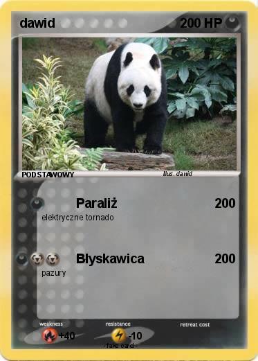 Pokemon dawid