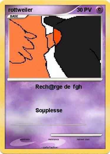 Pokemon rottweiler