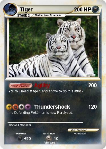 Pokemon Tiger