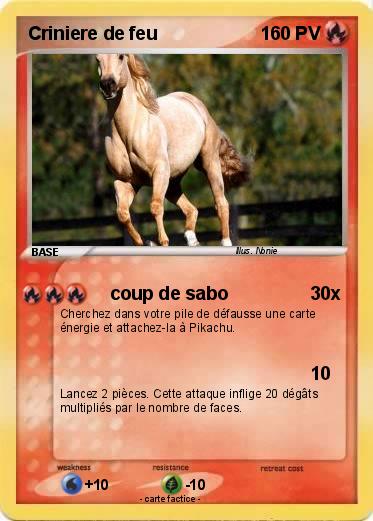 Pokemon Criniere de feu