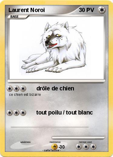 Pokemon Laurent Noroi