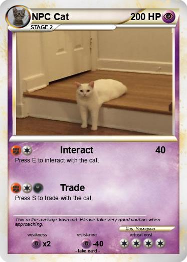 Pokemon NPC Cat